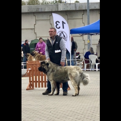 IDS OPOLE'19 - MIMIR